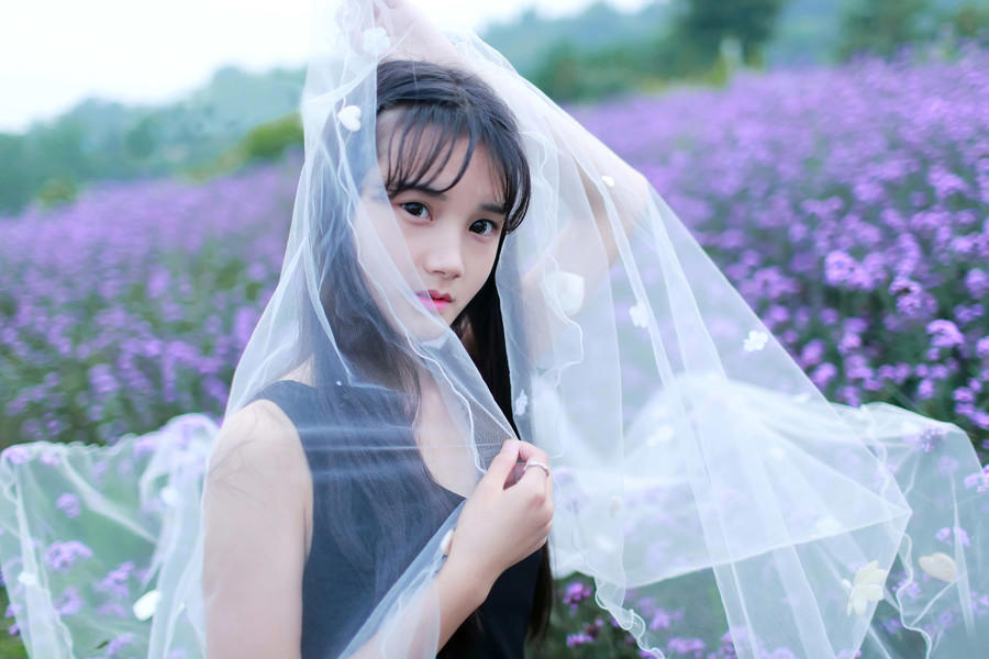 我成功了作文500字